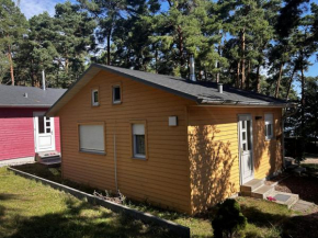 Ferienhaus Friedland